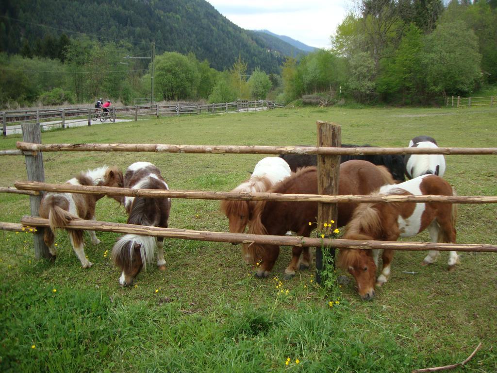 Winnewieser Vintl Eksteriør bilde