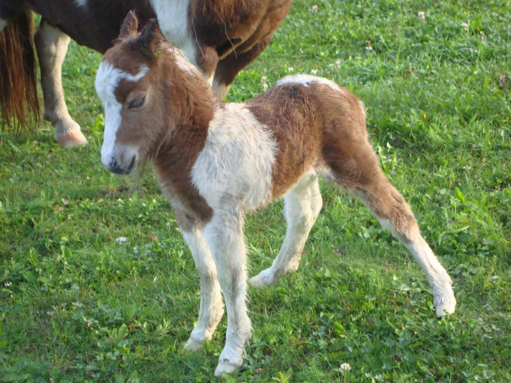 Winnewieser Vintl Eksteriør bilde