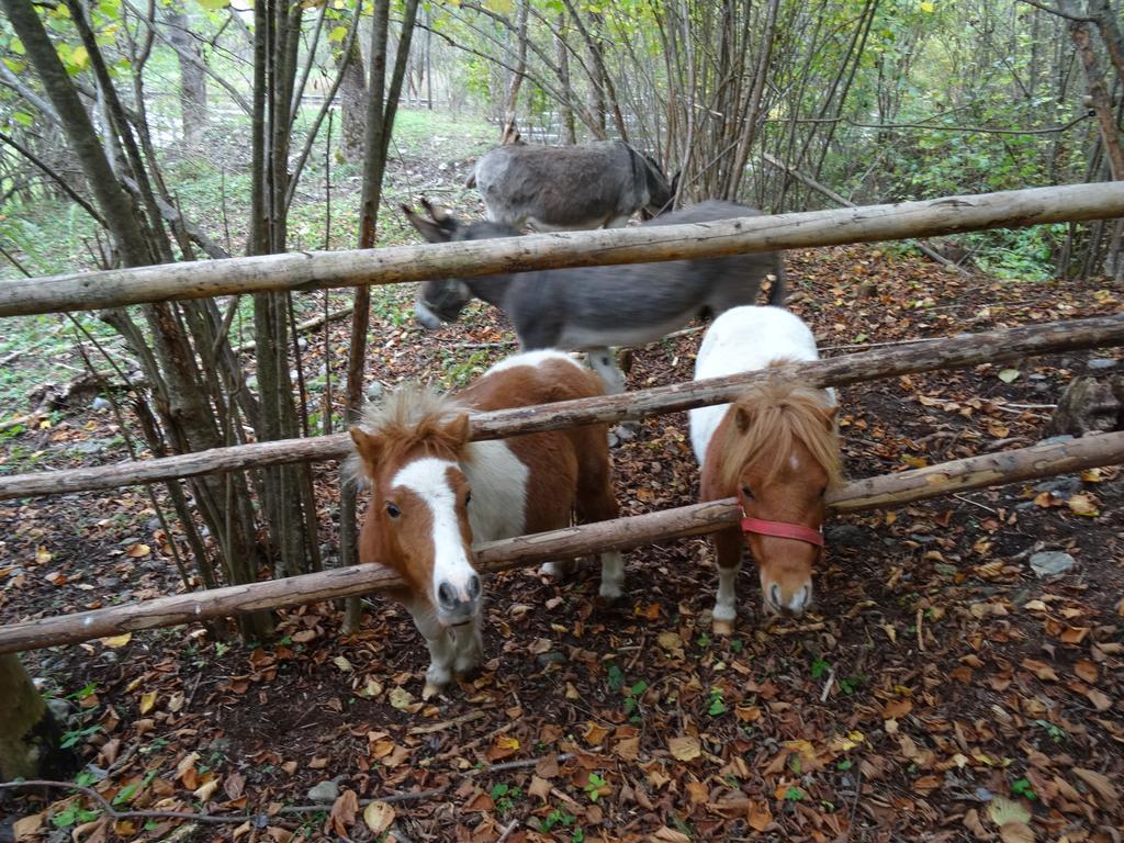 Winnewieser Vintl Eksteriør bilde